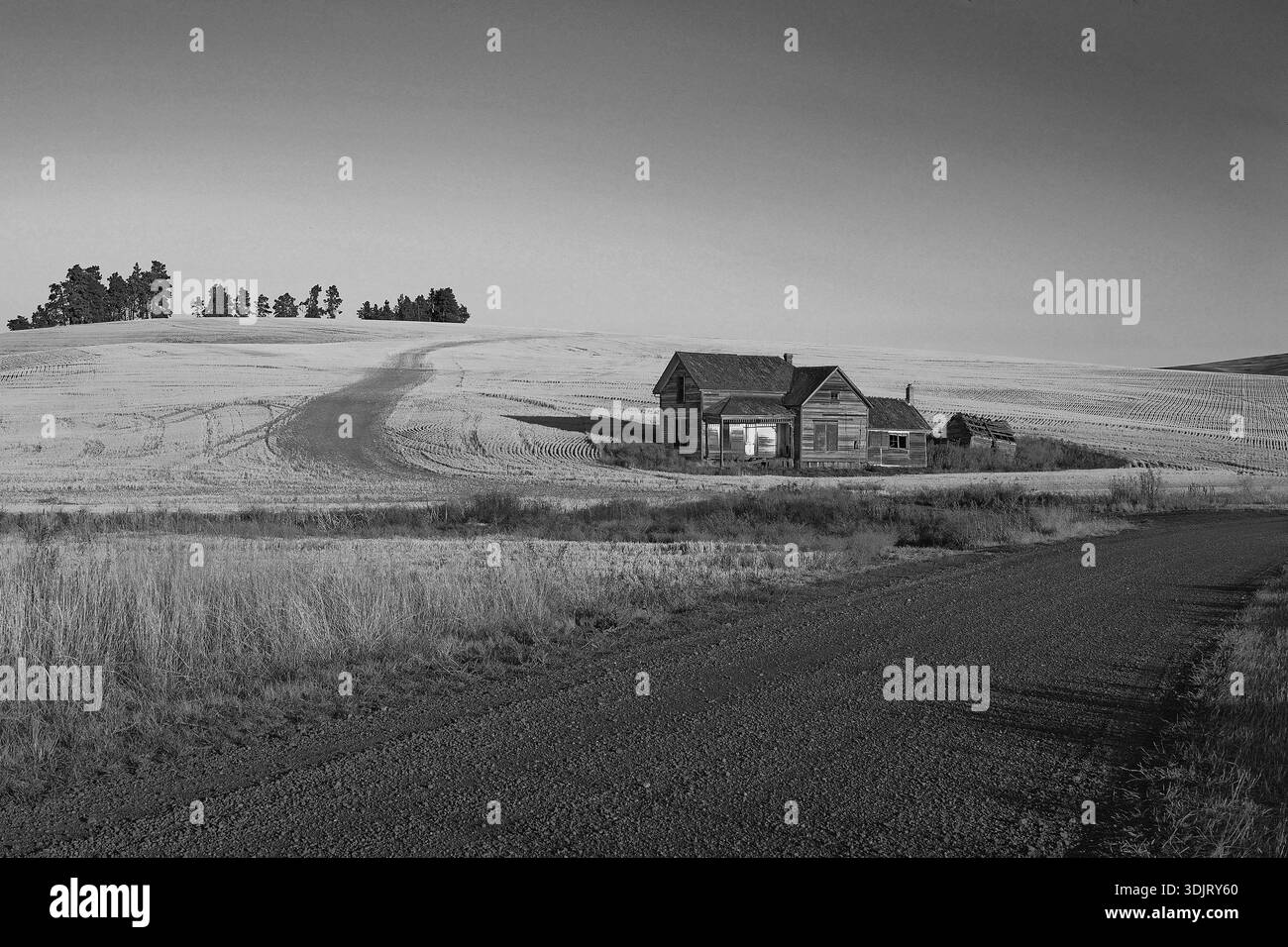 Vieille maison abandonnée entourée de champs de blé dans la région de Palouse dans l'est de l'État de Washington au coucher du soleil en noir et blanc Banque D'Images