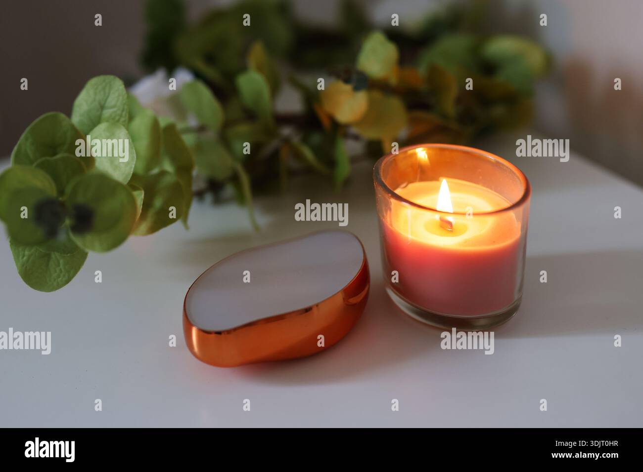 Composition de bien-être et d'auto-soin avec bougie de lime de pied de pédicure et de verdure fraîche Banque D'Images