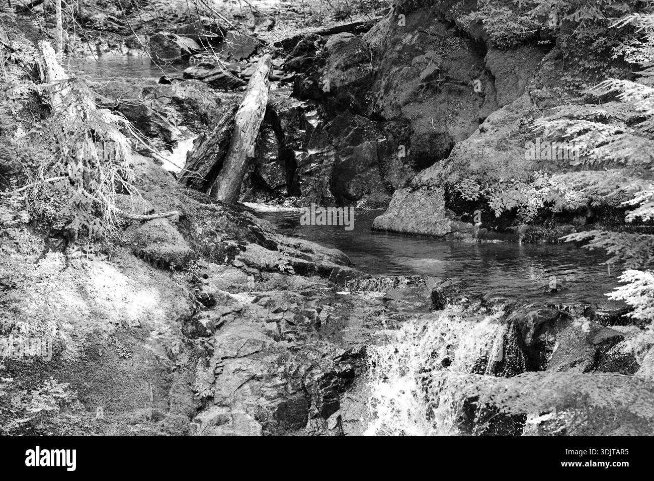 Petite cascade et piscine de ruisseau clair entourée de roches moussues Banque D'Images