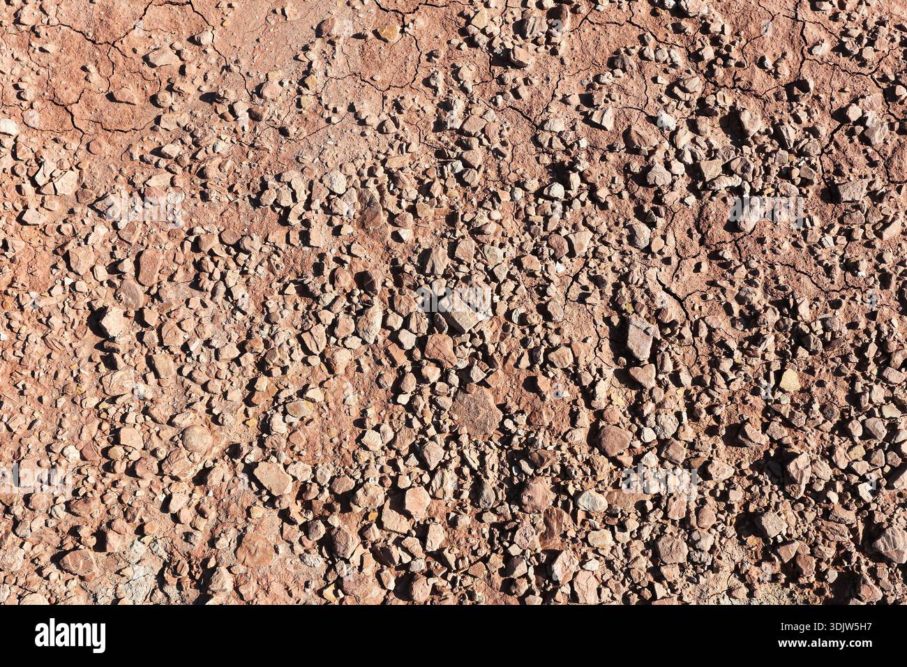 Surface rocheuse rugueuse avec de petites pierres et du gravier dans des tons naturels terreux. Fond de texture de sol sec avec des cailloux. Terrain naturel abstrait. Banque D'Images
