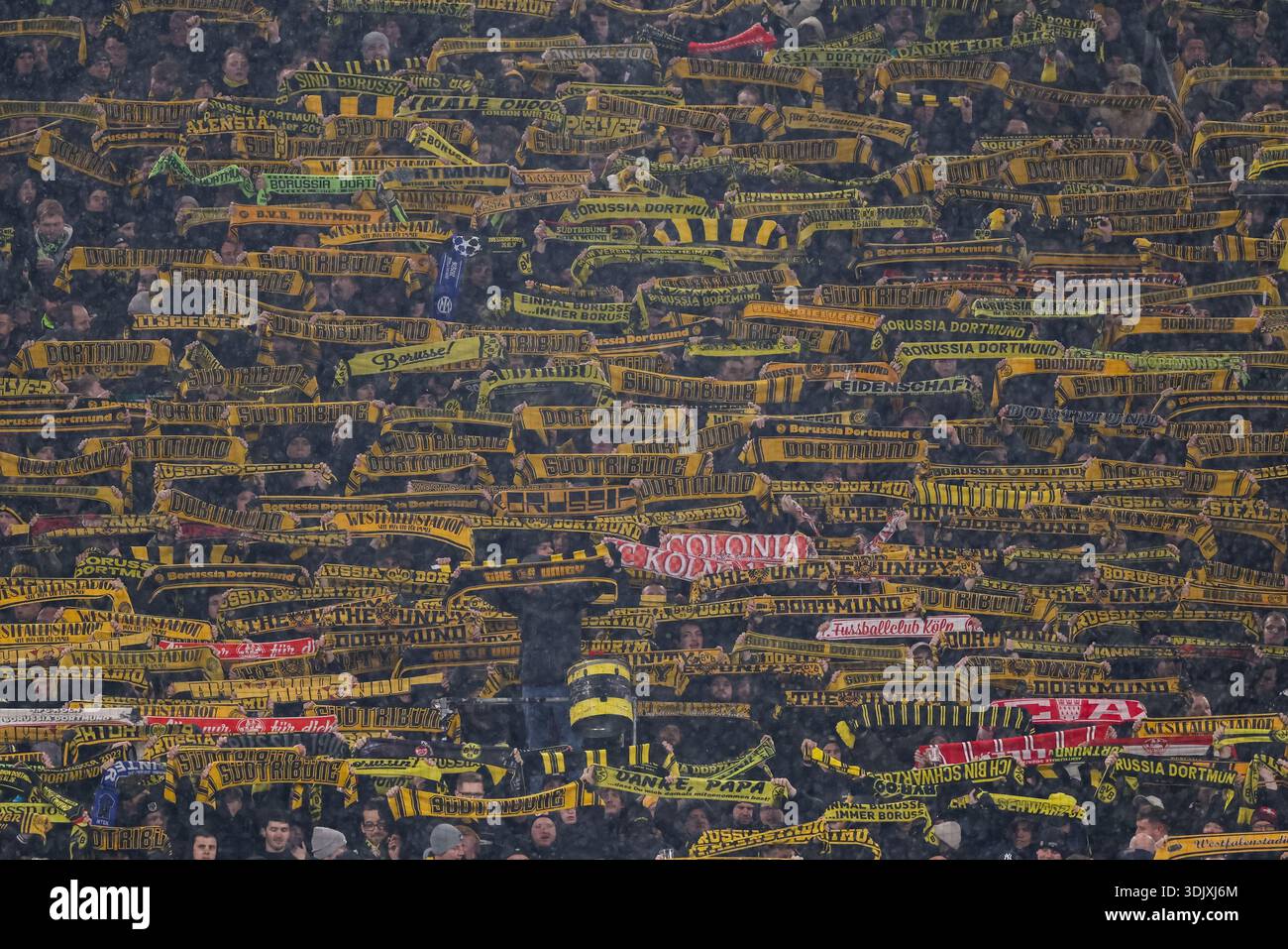 DORTMUND, ALLEMAGNE - JANVIER 28 : les supporters du Borussia Dortmund manifestent leur soutien en brandissant des foulards lors du match MD8 de la phase 2025/26 de la Ligue des champions de l'UEFA entre le Borussia Dortmund et le FC Internazionale Milano au BVB Stadion Dortmund le 28 janvier 2026 à Dortmund, Allemagne. (Photo de René Nijhuis) Banque D'Images