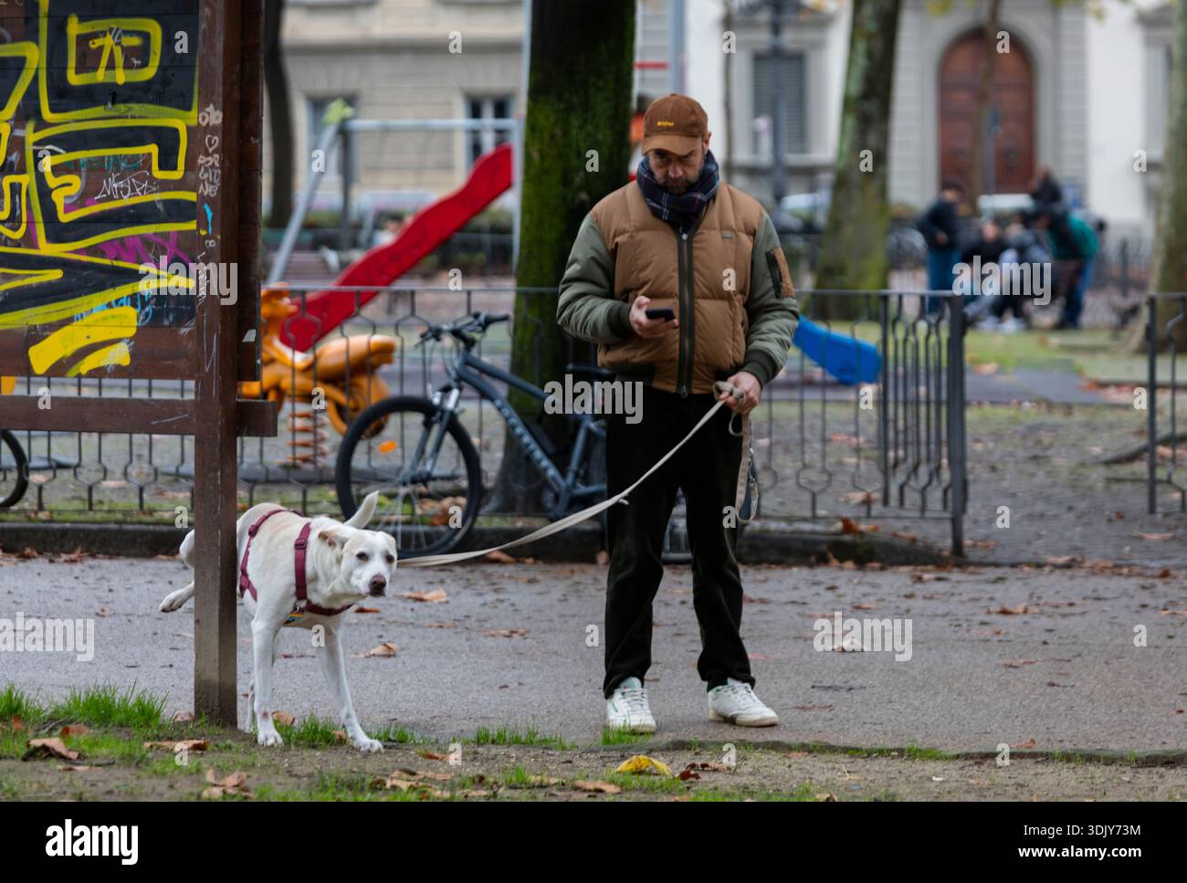 Homme promenant son chien qui s'arrête pour une fuite dans un parc de quartier - Florence, Italie Banque D'Images