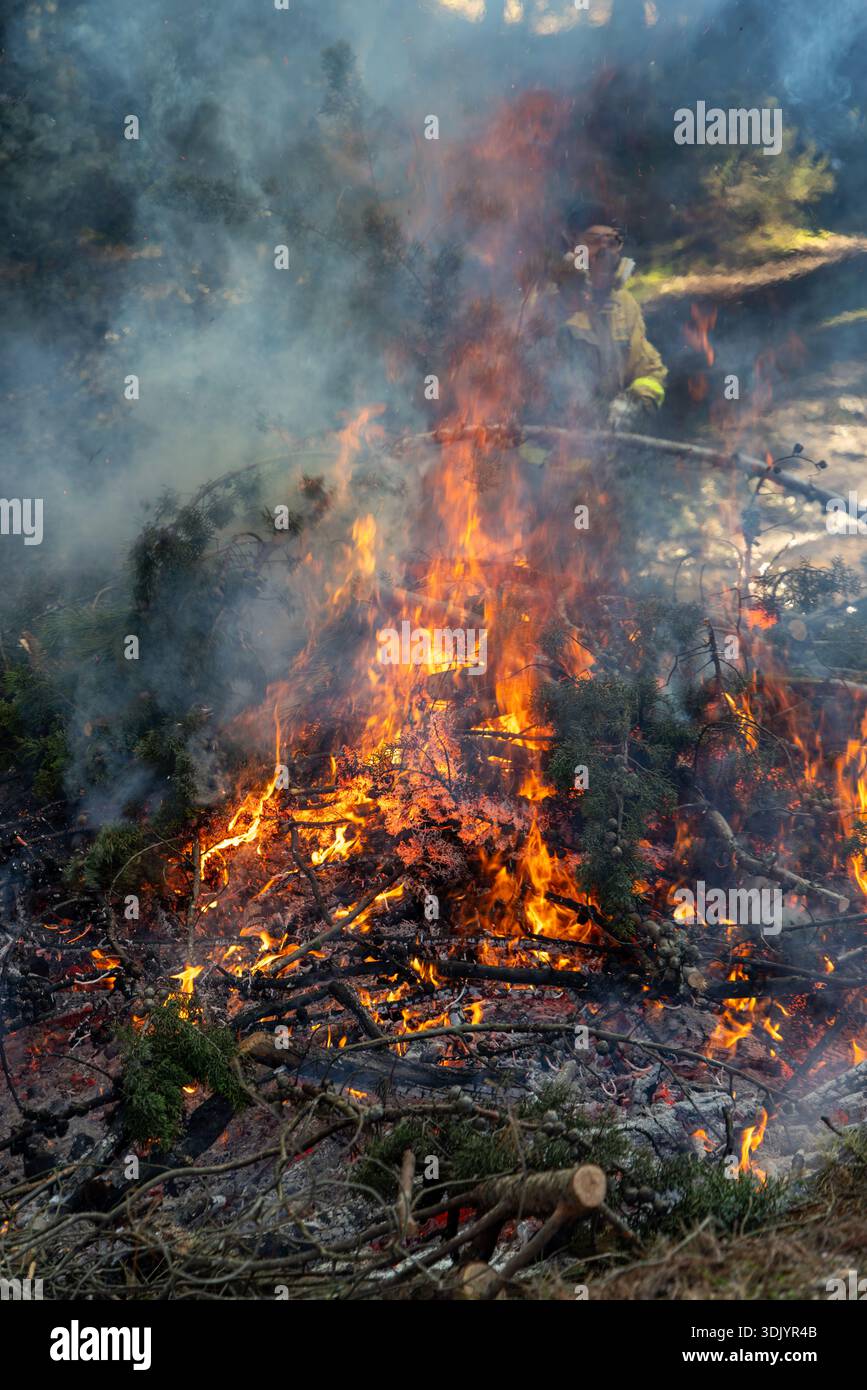 Les pompiers de Wildland effectuent des incendies contrôlés pour la prévention des incendies de forêt près de Madrid, en Espagne. Banque D'Images