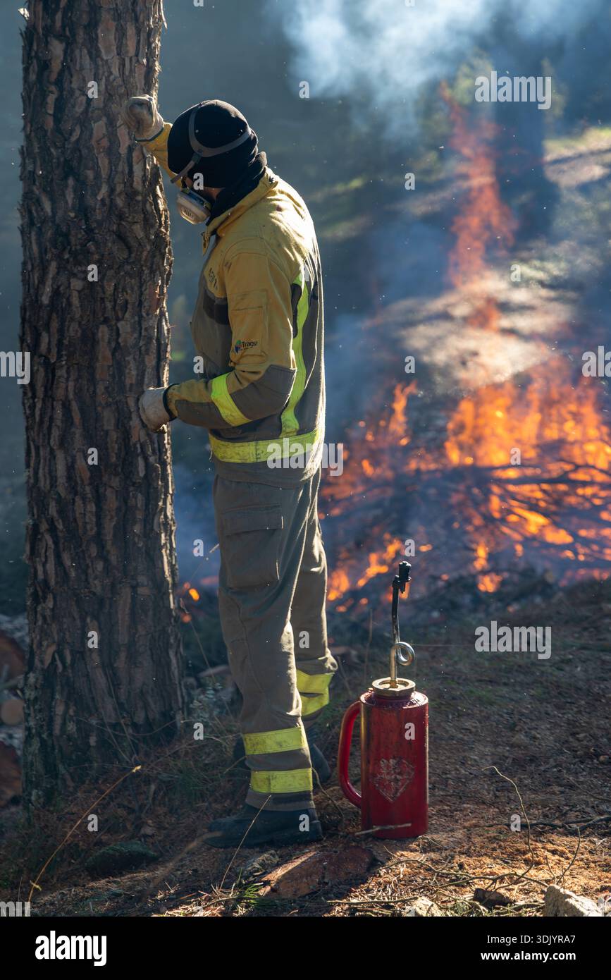Les pompiers espagnols des zones sauvages procèdent à des incendies prescrits dans une zone boisée près de Madrid Banque D'Images