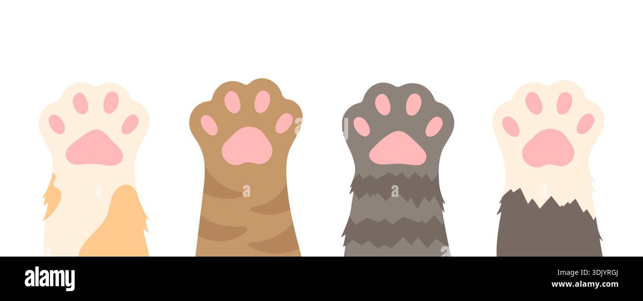 Ensemble vectoriel de pattes de chat mignonnes. Pattes de chat différentes. Collection de pieds d'animaux de compagnie avec fourrure différente. Chats de la journée internationale. Illustration de Vecteur
