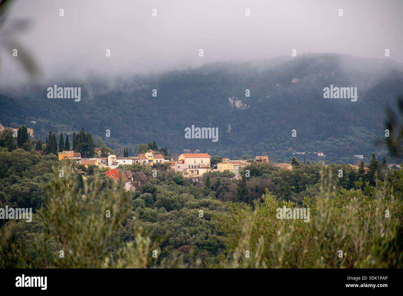 Architecture traditionnelle du village de Valaneio à Corfou en Grèce entouré d'une forêt luxuriante et d'oliviers avec un épais brouillard couvrant les sommets des montagnes en t Banque D'Images