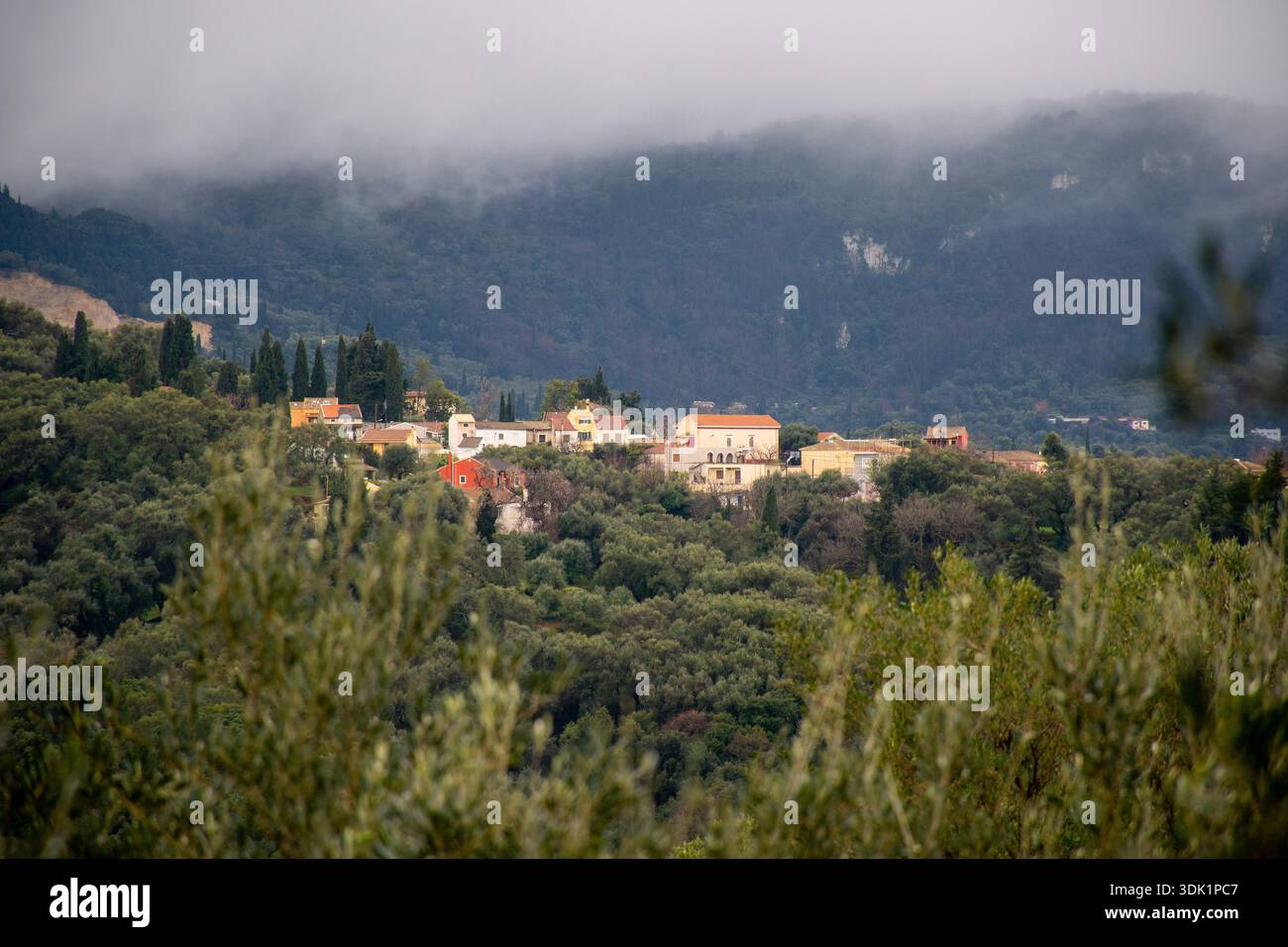 Vue panoramique sur le village de Valaneio à Corfou en Grèce niché parmi les oliveraies vertes denses et les cyprès avec des montagnes nuageuses brumeuses en arrière-plan Banque D'Images