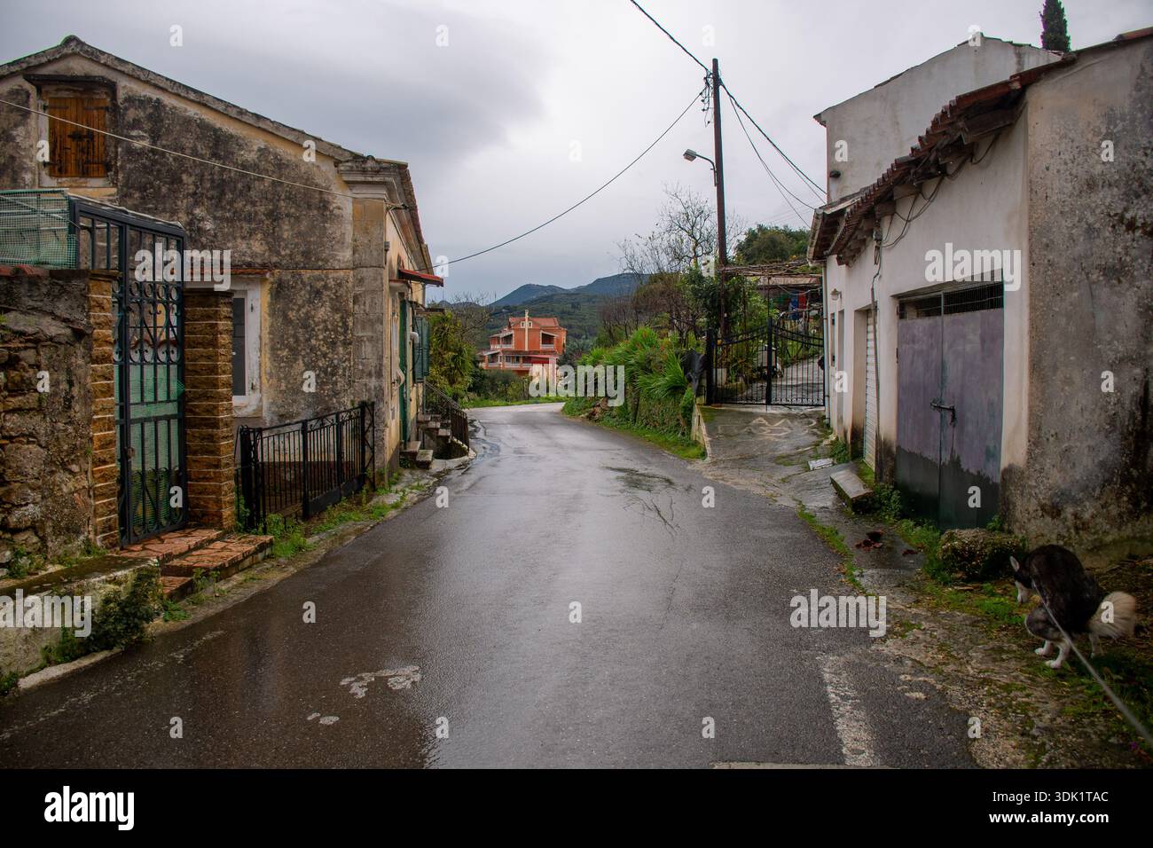 Scène de rue de village grec traditionnel à Agioi Douloi Corfou un jour de pluie, avec une architecture en pierre ancienne, route asphaltée humide, et montagne lointaine Banque D'Images