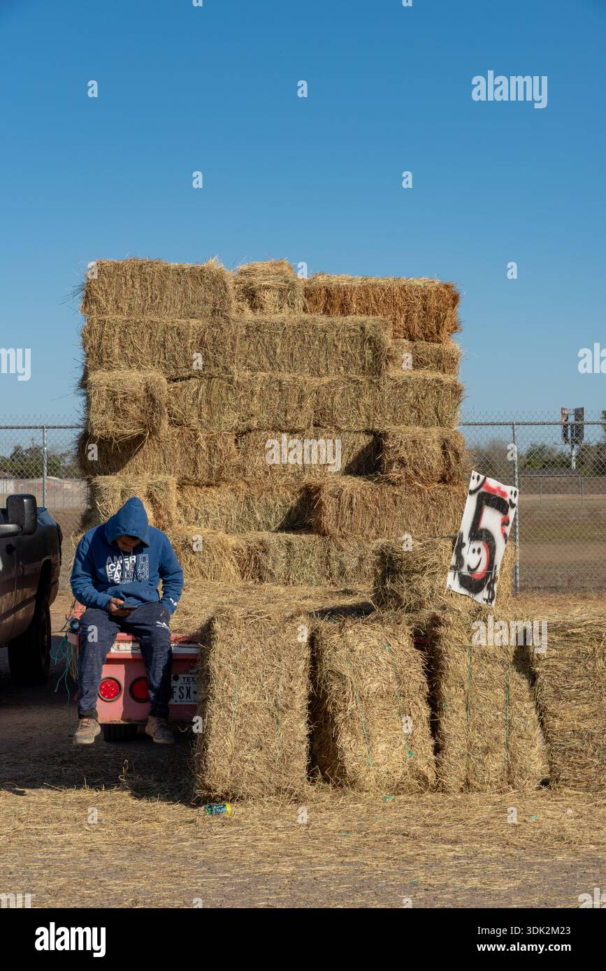 Mâle regarde son téléphone tout en étant assis sur le lit d'une remorque empilée avec des balles de foin à vendre, Texas, USA. POUR USAGE ÉDITORIAL UNIQUEMENT. Banque D'Images