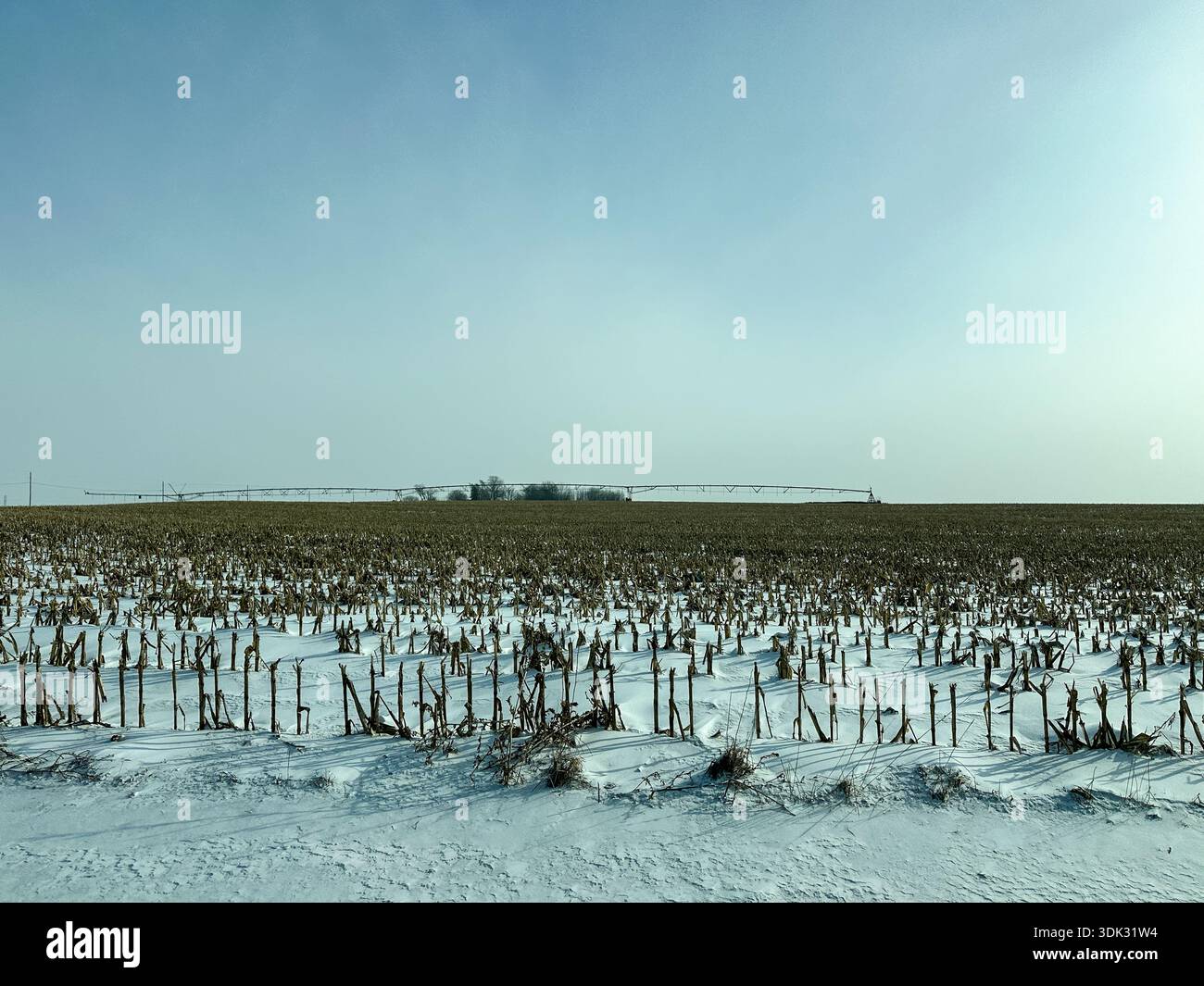 Champ agricole couvert de neige dans le midwest américain pendant l'hiver - Image de stock capturée avec un smartphone