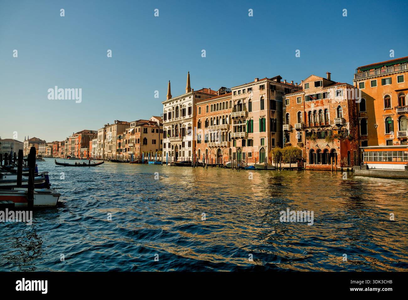 Venise, Italie, palais vénitiens historiques le long du Grand canal sous un ciel bleu clair Banque D'Images