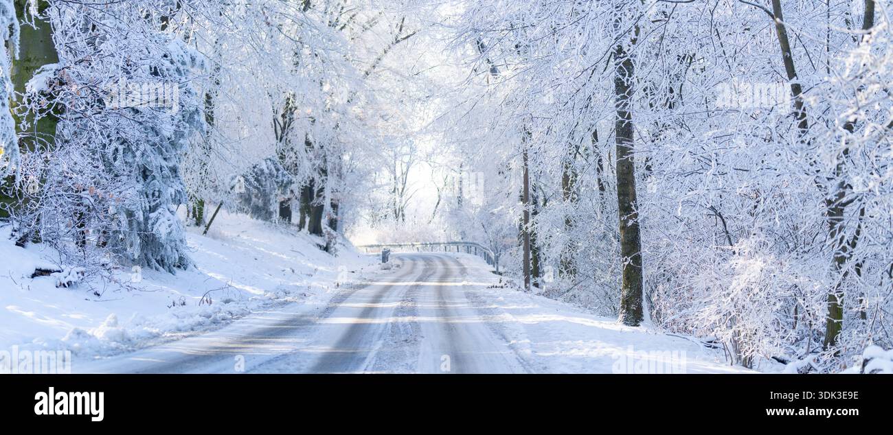 Paysage hivernal avec arbres enneigés et route. Banque D'Images