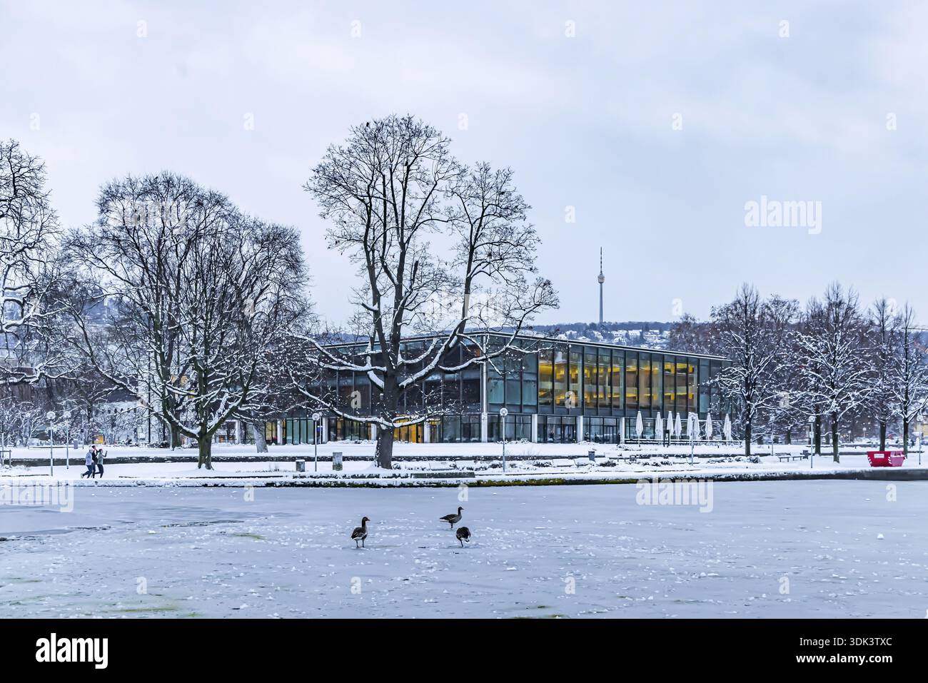 Vue extérieure du parlement de l'État avec Eckensee et tour de télévision. Hiver à Stuttgart. La ville est blanche hivernale tôt le matin. Banque D'Images