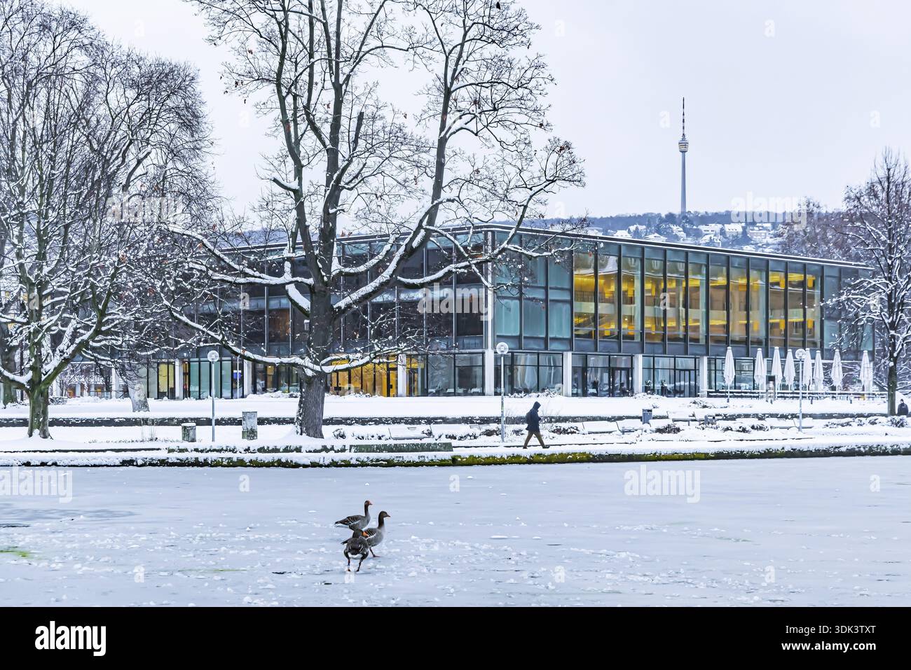 Vue extérieure du parlement de l'État avec Eckensee et tour de télévision. Hiver à Stuttgart. La ville est blanche hivernale tôt le matin. Banque D'Images