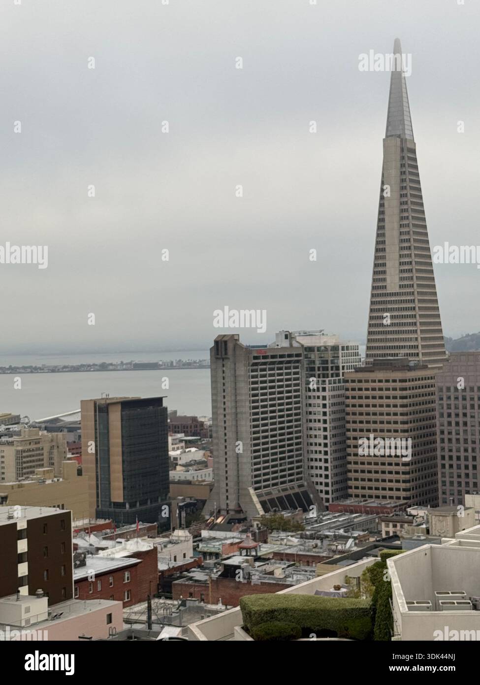 Transamerica Pyramid s'élevant au-dessus des gratte-ciel du centre-ville de San Francisco sous un ciel bleu clair. - Image de stock capturée avec un smartphone