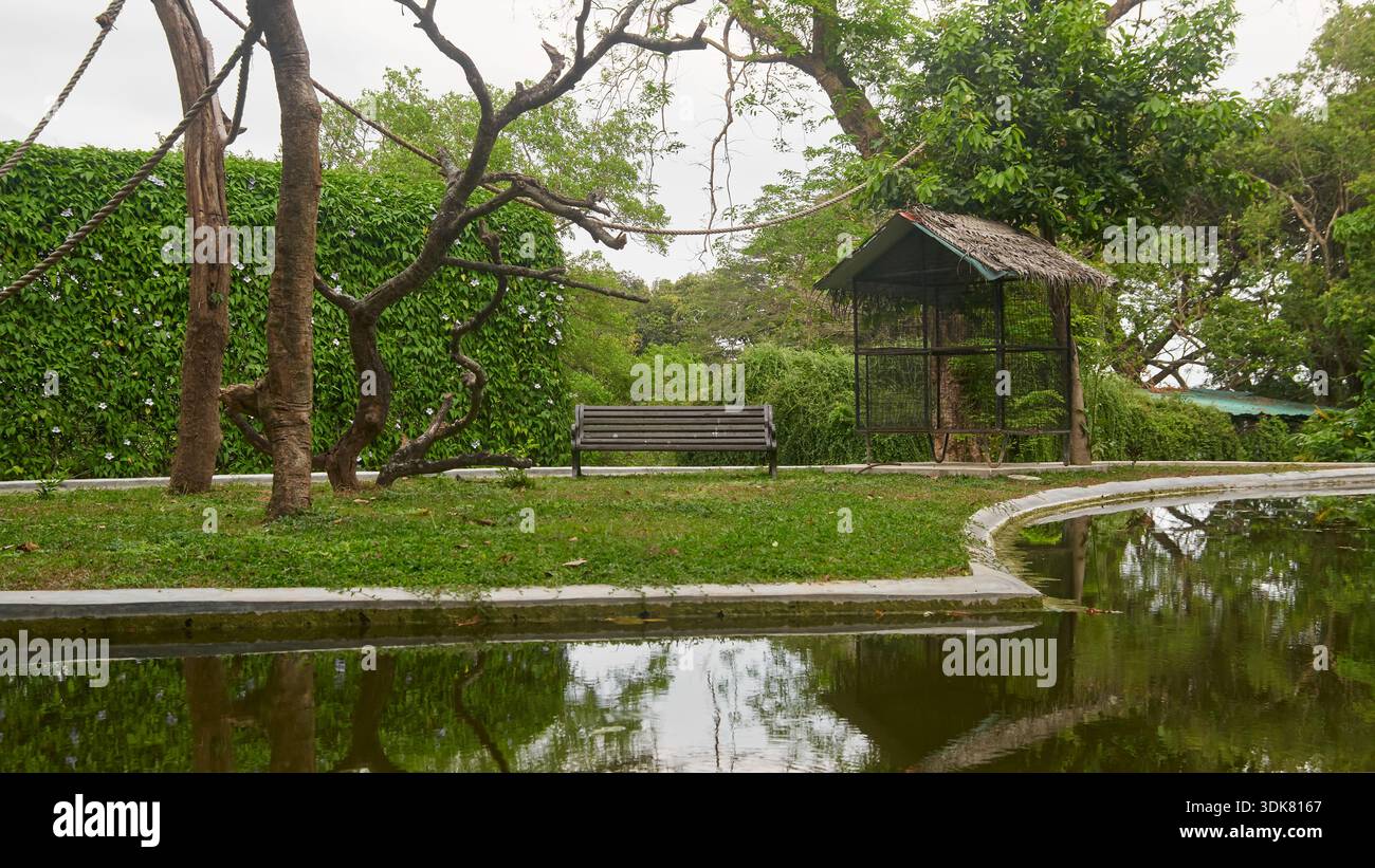 banc en bois vide et abri en cage à oiseaux sur pelouse verte, arbres matures et mur de haies reflétés dans l'eau de l'étang calme avec espace de copie, aménagement paysager urbain Banque D'Images