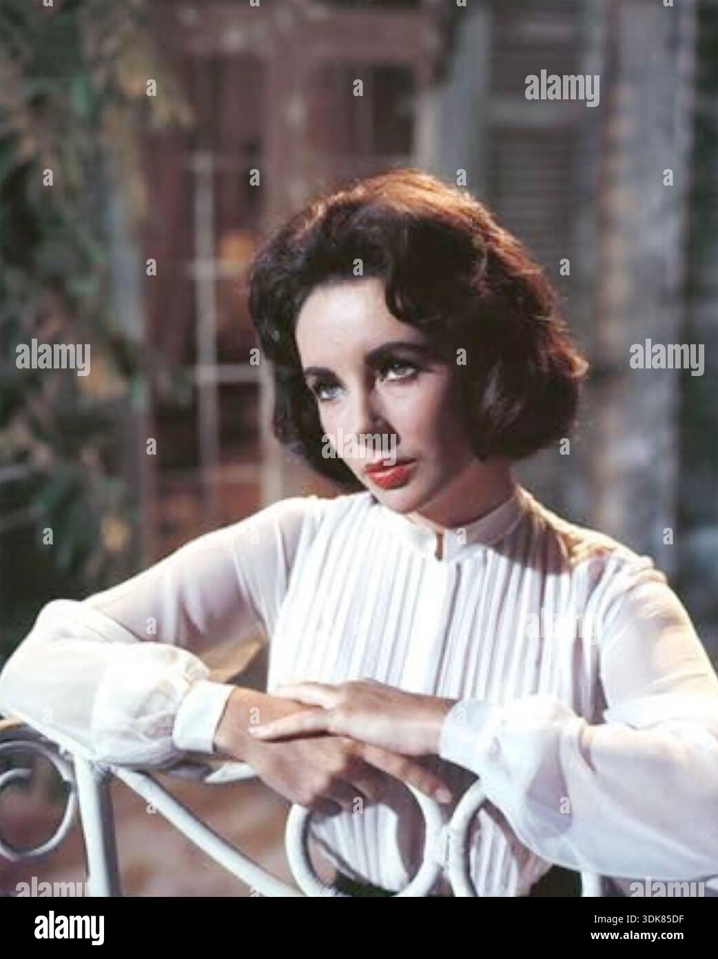 SOUDAIN, L'ÉTÉ DERNIER 1959 Columbia Pictures film avec Elizabeth Taylor dans le rôle de Cathy Holly Banque D'Images