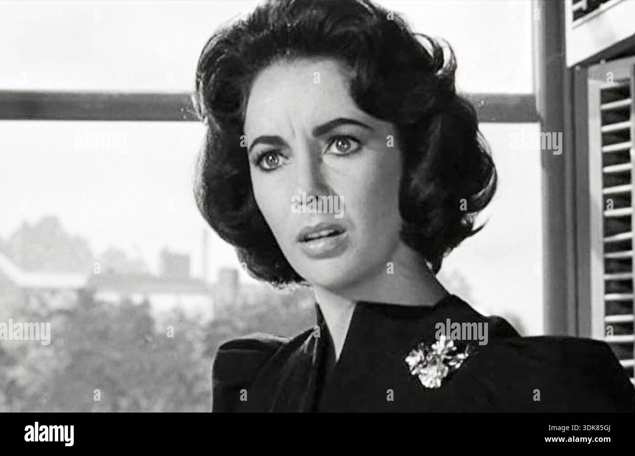 SOUDAIN, L'ÉTÉ DERNIER 1959 Columbia Pictures film avec Elizabeth Taylor dans le rôle de Cathy Holly Banque D'Images