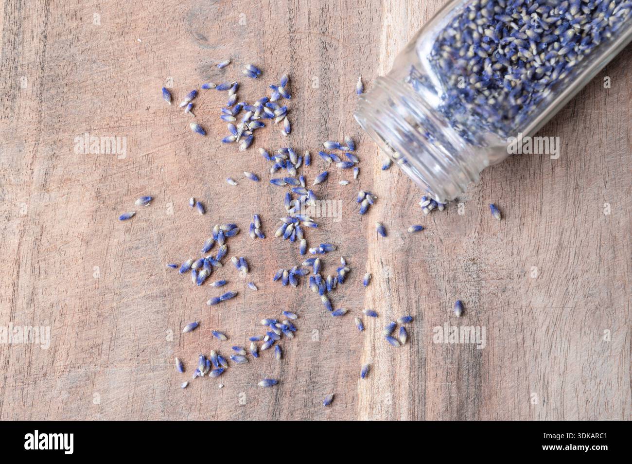 Fleurs de lavande séchées débordant d'un pot en verre sur une table en bois Banque D'Images