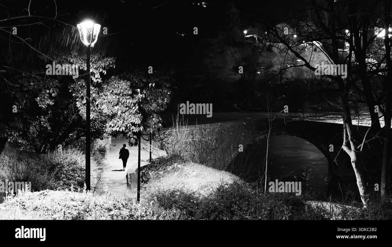 Figure solitaire marchant le long d'un chemin faiblement éclairé la nuit entouré d'arbres et de lampadaires. Scène fine art noir et blanc avec fort contraste et atmo Banque D'Images