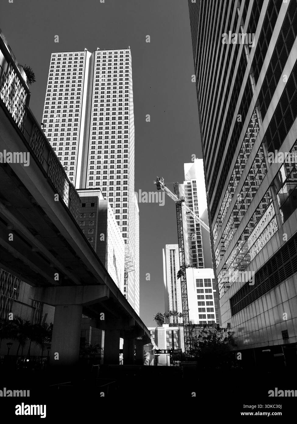 Vue en noir et blanc sur les gratte-ciels modernes du centre-ville de Miami avec une chaussée surélevée et une grue de construction Banque D'Images