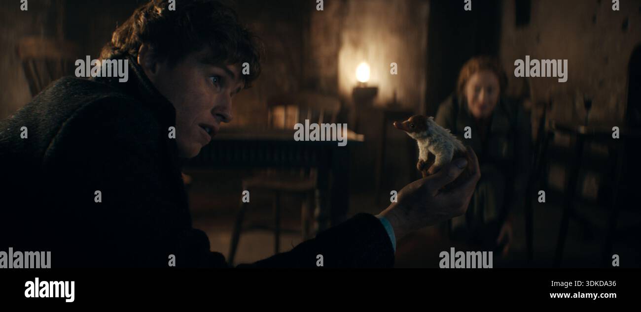 EDDIE REDMAYNE dans le rôle de Newt Scamander avec un bébé Niffler et VICTORIA YEATES dans le rôle de Bunty Fantastic Beasts : The secrets of Dumbledore (2022) *Filmstill - EDI Banque D'Images