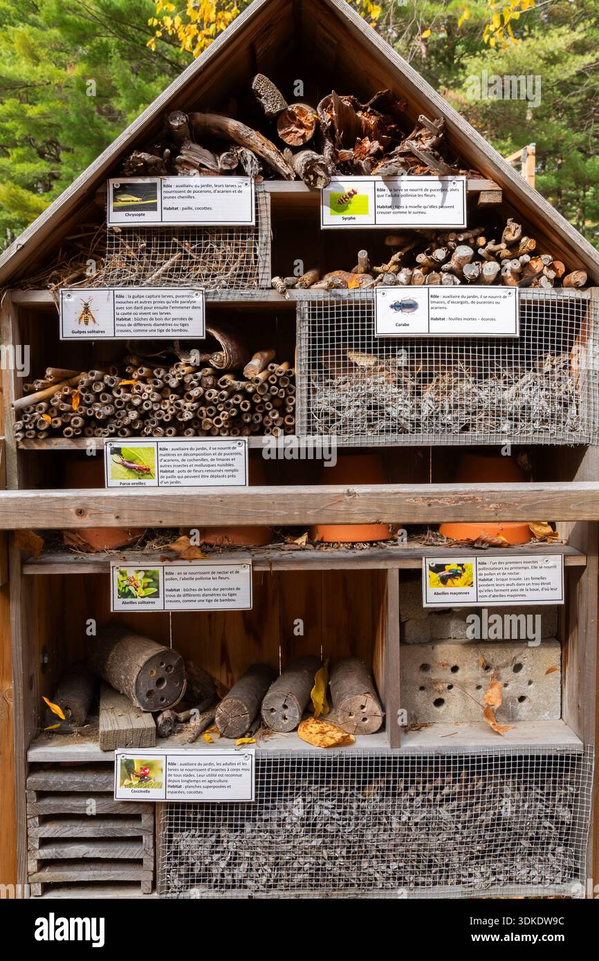 Hôtel d'insectes ou d'insectes avec des branches d'arbres coupées, du bambou, de la paille, des briques, des pommes de pin et des feuilles mortes pour que les insectes s'abritent et hibernent en hiver. Banque D'Images