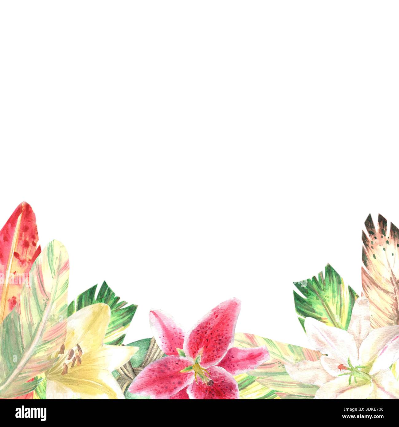Un cadre carré peint à la main de plumes rouges, jaunes et vertes avec lys écarlate et blancs sur un fond isolé. cli de cadre d'inspiration bohémienne simple Banque D'Images