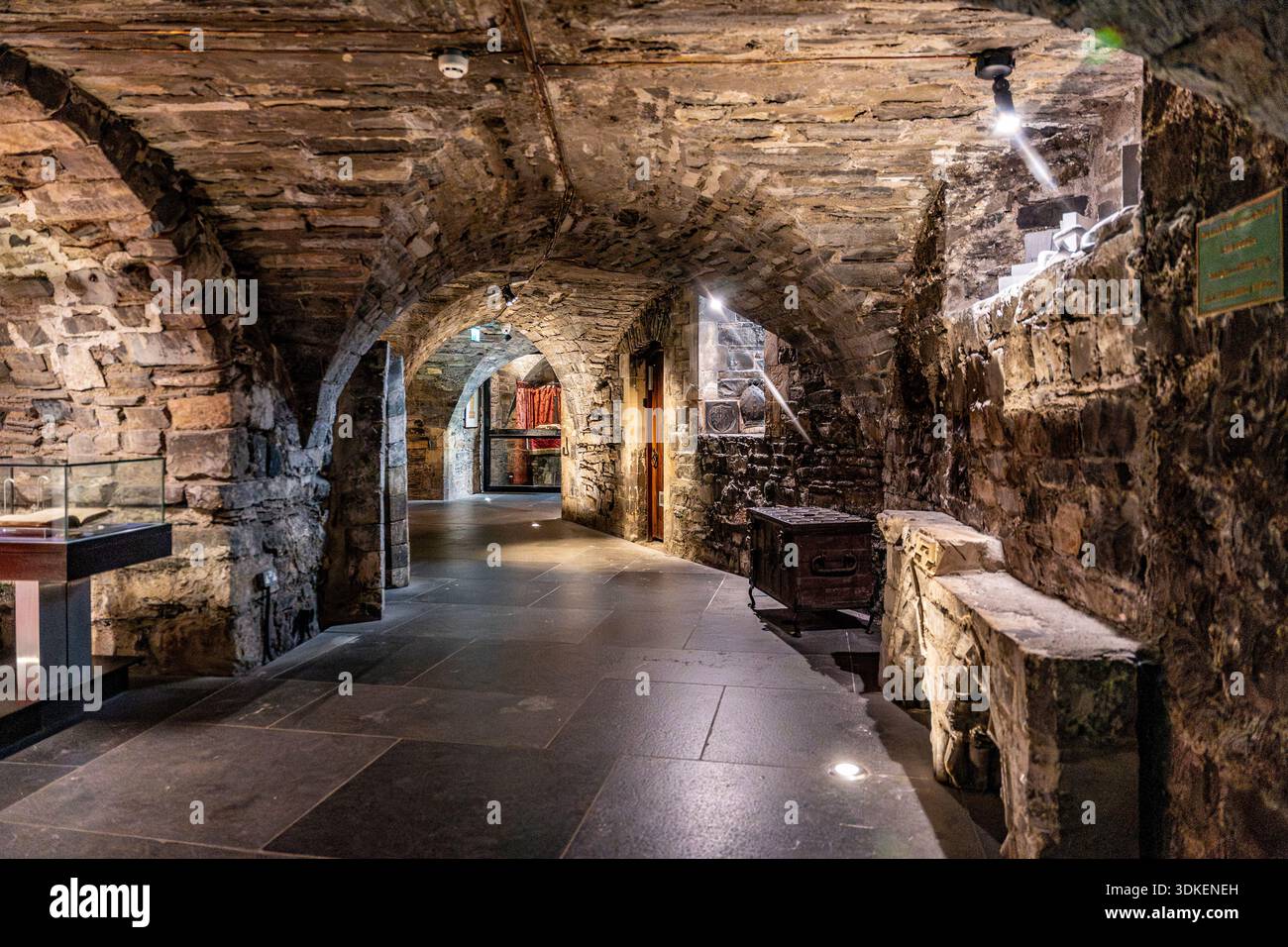 La crypte avec exposition d'œuvres d'art dans la cathédrale de Christchurch, église médiévale construite au 11e siècle, centre-ville de Dublin, Irlande. Banque D'Images