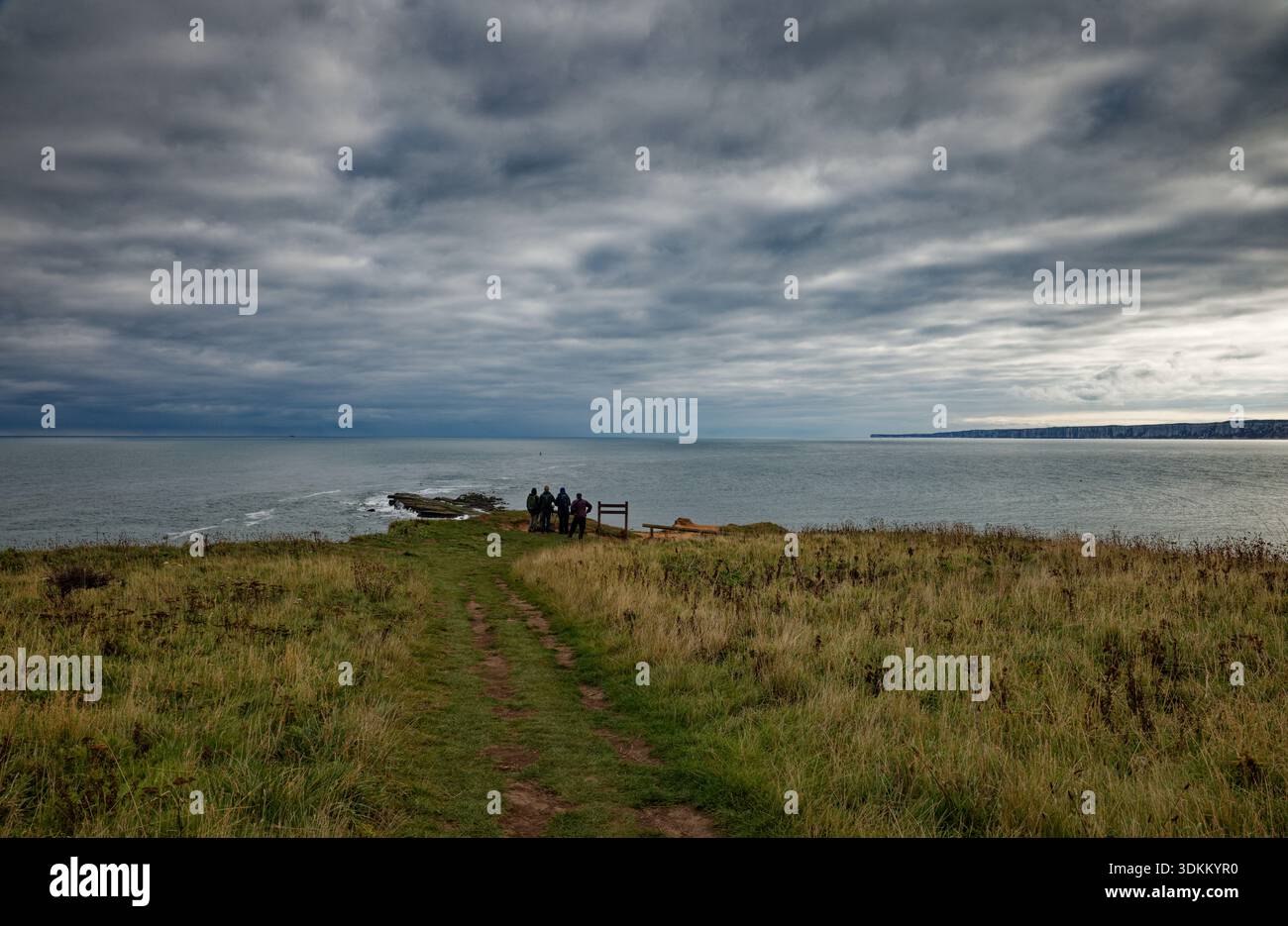 Un groupe d'ornithologues se blottit par une journée nuageuse froide sur Filey Brigg regardant vers la mer avec Flamborough Head au loin, dans le North Yorkshire. Banque D'Images