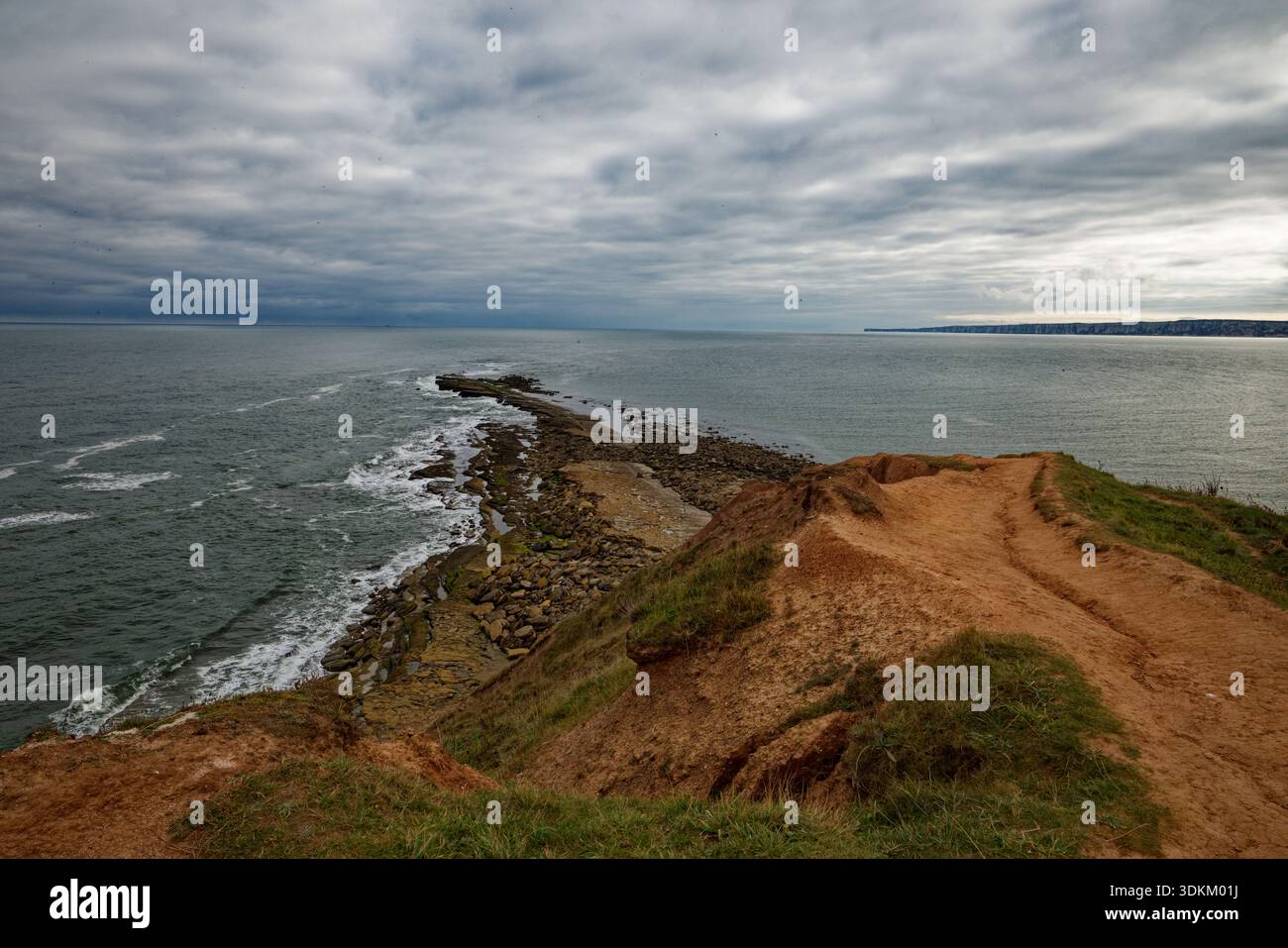 Un sentier érodé abrupt descend vers les rochers de Filey Brigg qui avance dans la mer du Nord par une journée nuageuse, North Yorkshire, Angleterre. Banque D'Images
