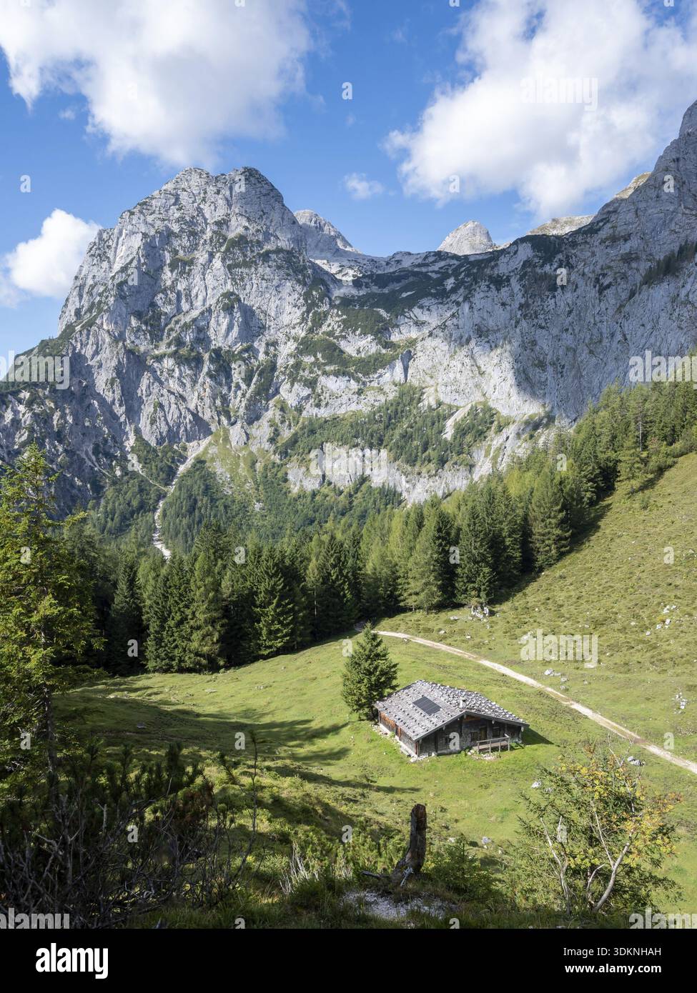 Le Halsalm en face du Halsgrube où les vautours barbus sont relâchés dans la nature, au-dessus des sommets du cavalier Alm, Berchtesgaden National Pa Banque D'Images