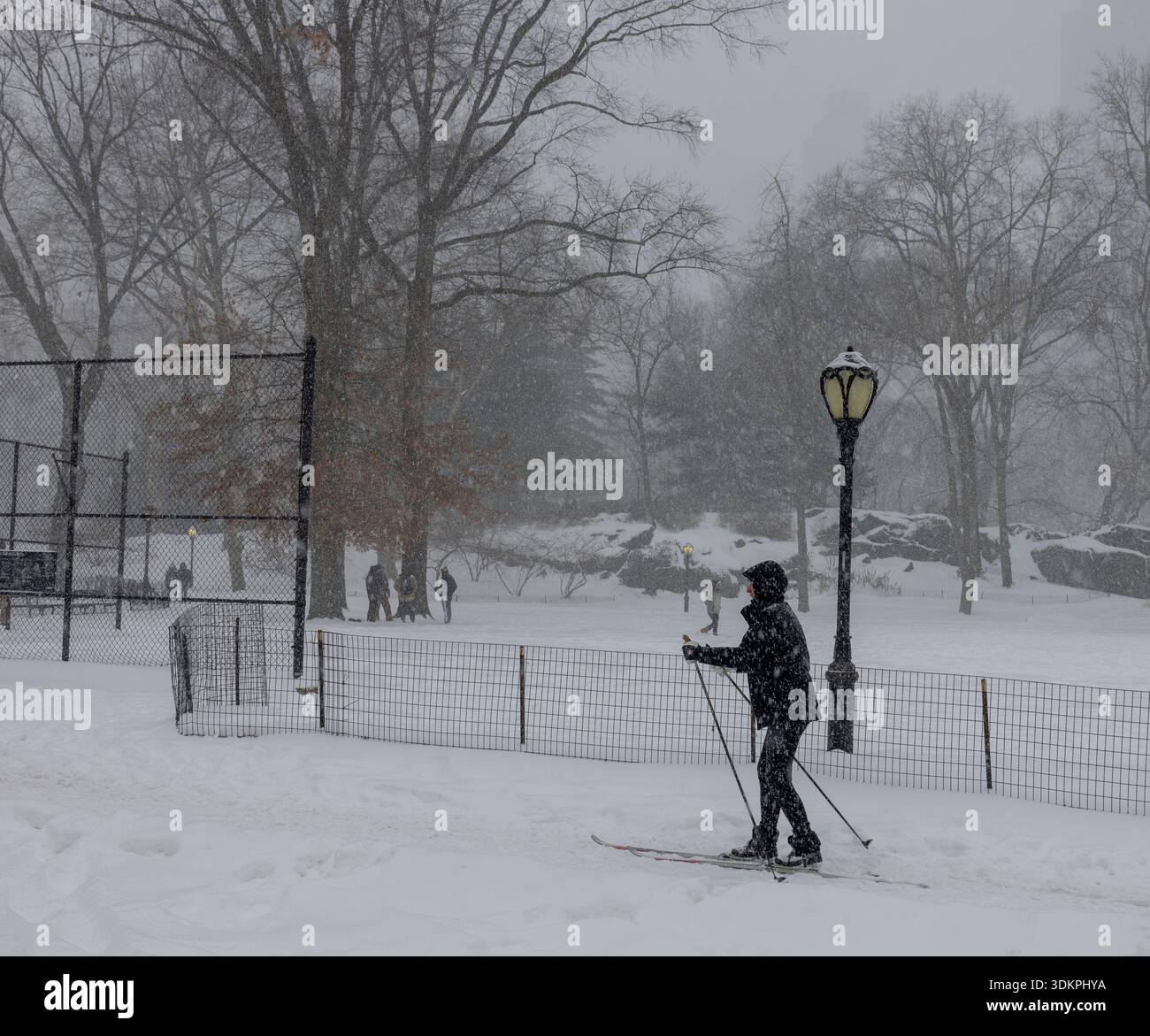 NEW YORK, N.Y. – 25 janvier 2026 : une personne skie dans Central Park à Manhattan pendant une tempête hivernale. Banque D'Images