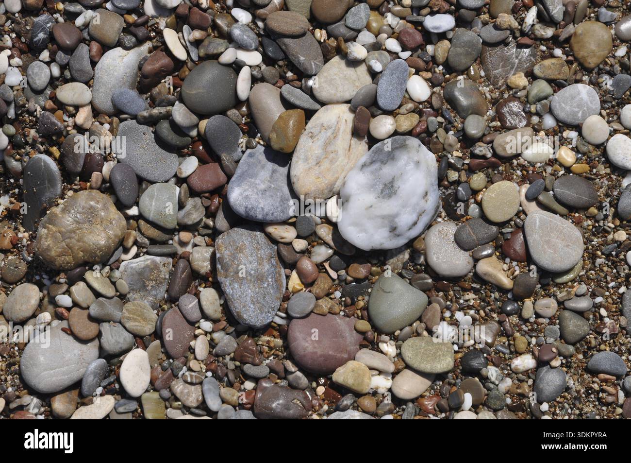 Galet, pierre, pierres, plage de sable, sable, plage, objet, structure, fond, nature, coloré, diversité Banque D'Images