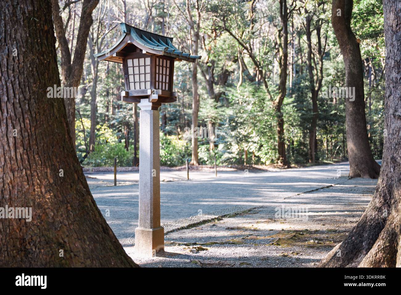 Jardin japonais avec lanterne, aménagement paysager autour du sanctuaire Meiji jingu au Japon, design traditionnel Banque D'Images