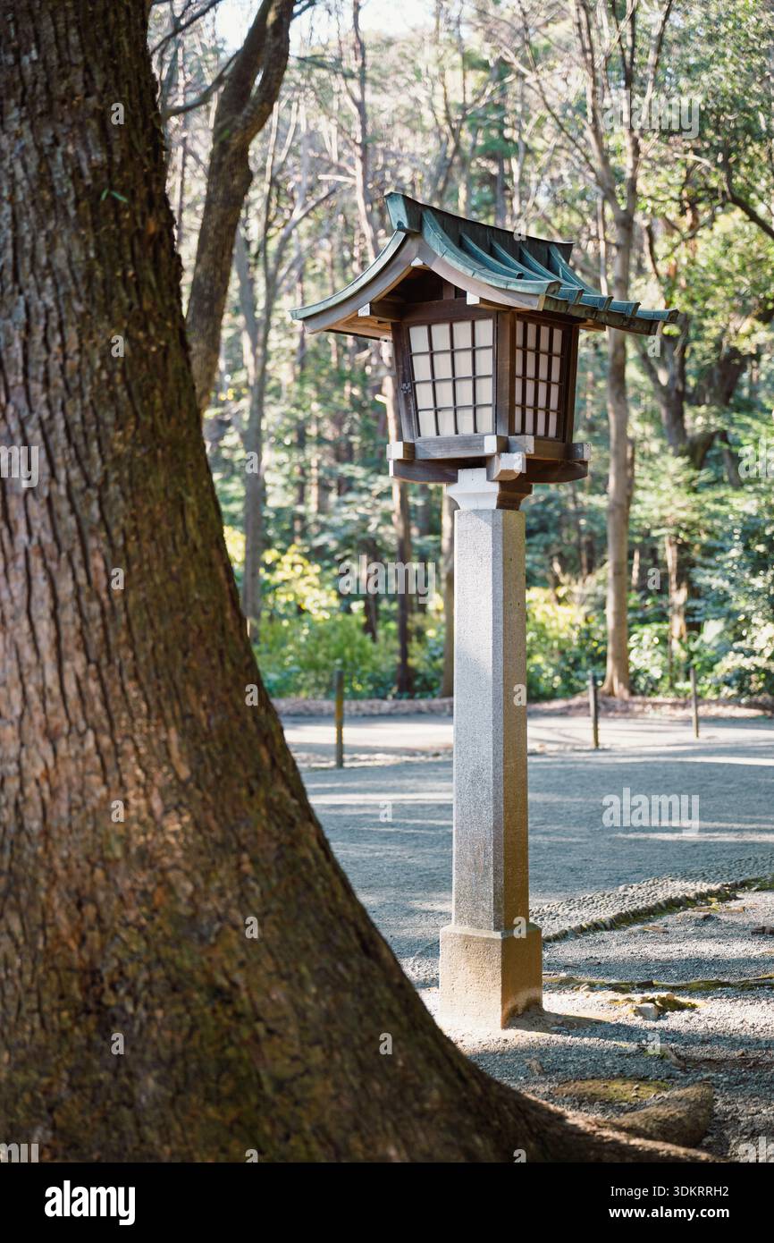 Jardin japonais avec lanterne, aménagement paysager autour du sanctuaire Meiji jingu au Japon, design traditionnel Banque D'Images