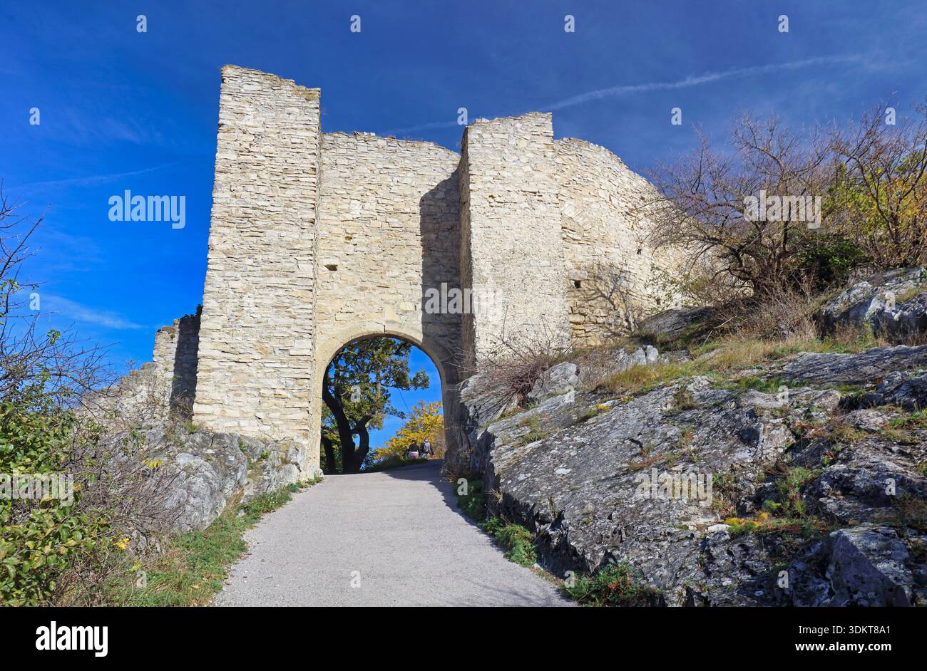 Ruines du château de Hainburg à Hainburg an der Donau. Vue aérienne du château médiéval. Les ruines sont situées en basse-Autriche, près de la frontière avec la Slovaquie Banque D'Images