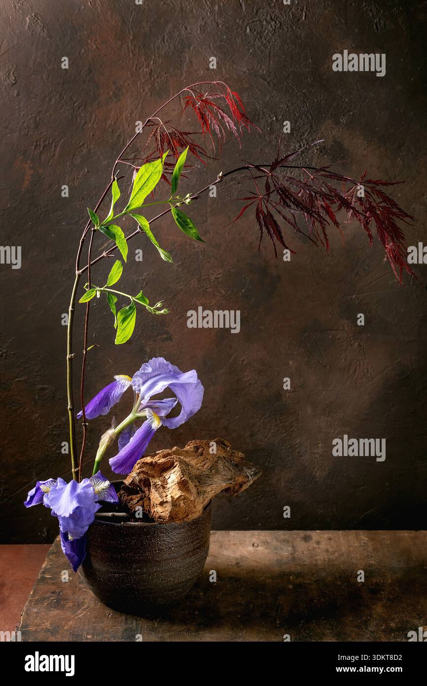 Bel arrangement ikebana japonais avec fleurs d'iris violettes feuilles vertes et branches d'érable rouge dans un pot en céramique sur fond texturé foncé. T Banque D'Images