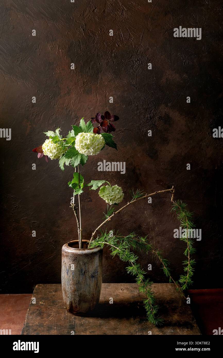 Nature morte artistique avec fleurs d'hortensia blanches et branches de pin ikebana dans un vase en céramique rustique sur fond brun foncé texturé. Naturel comp Banque D'Images