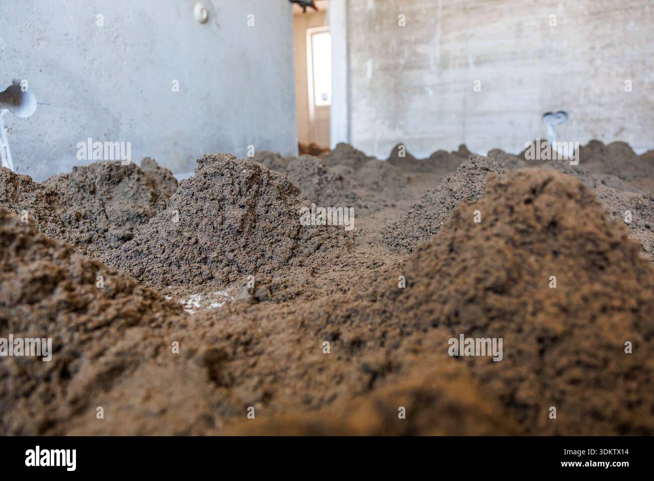 Chantier de construction intérieur avec des pieux de sol meuble sur le sol, des murs en béton non peint, des prises électriques visibles et de la lumière entrant par une porte Banque D'Images