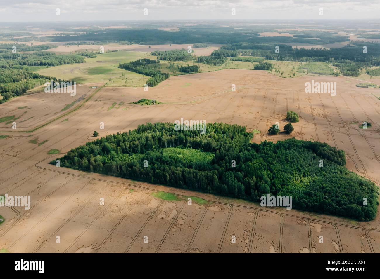 Perspective aérienne d'une zone boisée avec une rivière sinueuse traversant, entourée de champs ouverts et de parcelles d'arbres sous la lumière du jour claire. Banque D'Images