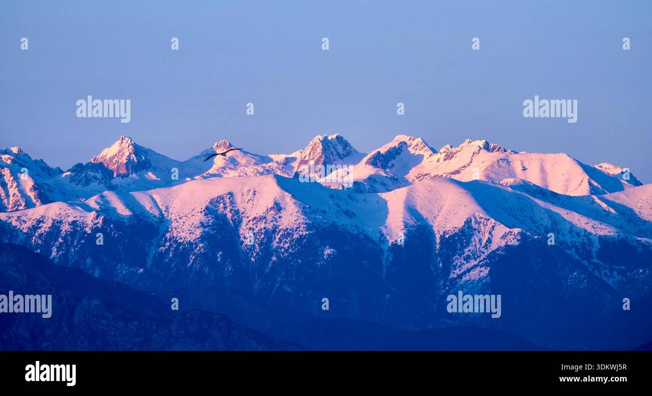 Chaîne de montagnes enneigées au coucher du soleil : lumière rose au-dessus des pics alpins et Blue Hour Sky Glow Banque D'Images