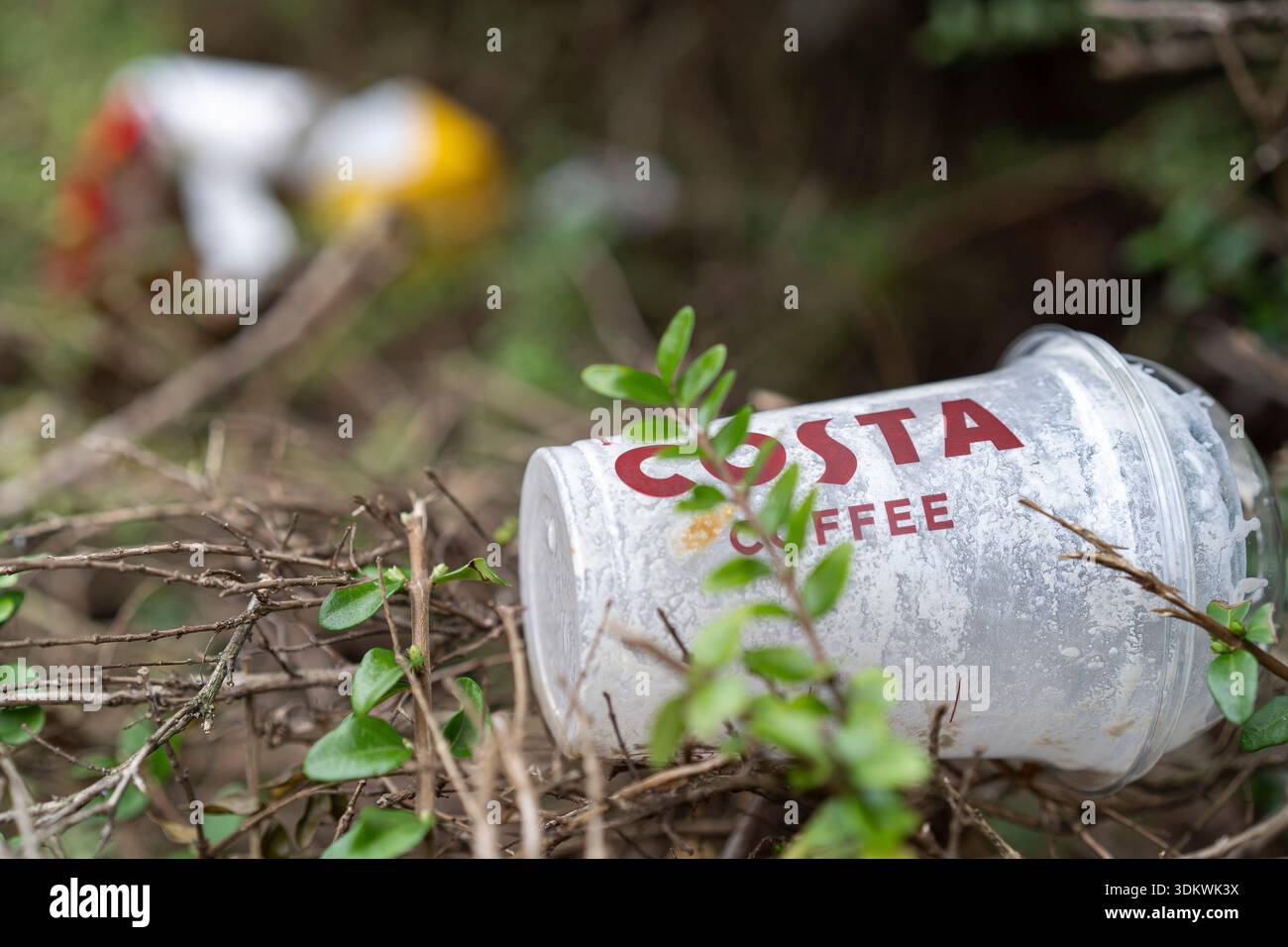 Vue rapprochée d'un gobelet en plastique à emporter Costa mis au rebut dans une haie avec d'autres emballages à emporter. Banque D'Images