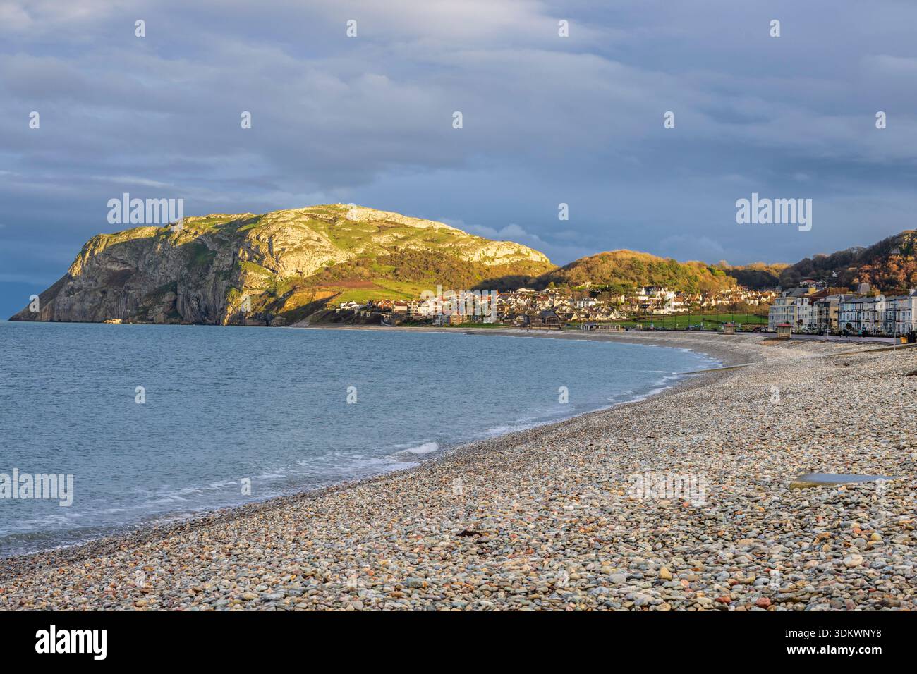 The Little Orme, Llandudno, Conwy, Nord du pays de Galles Banque D'Images