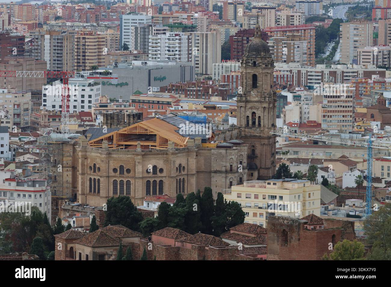 Cathédrale de Málaga, une église catholique romaine dans la ville de Málaga, Andalousie, Espagne en cours de restauration en décembre 2025 Banque D'Images