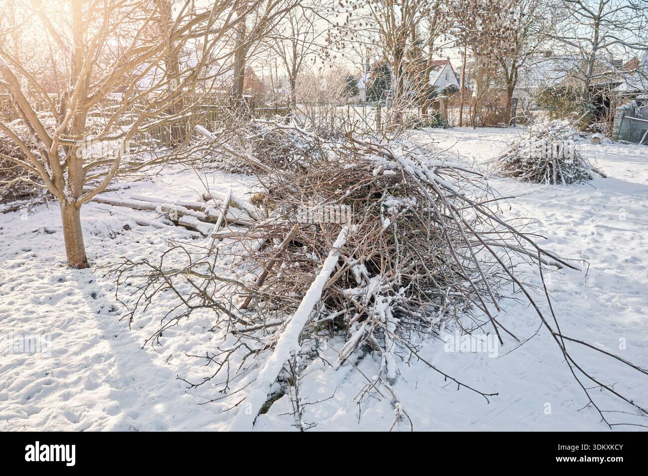 Tas de branches coupées après la taille et le rangement du verger. Banque D'Images