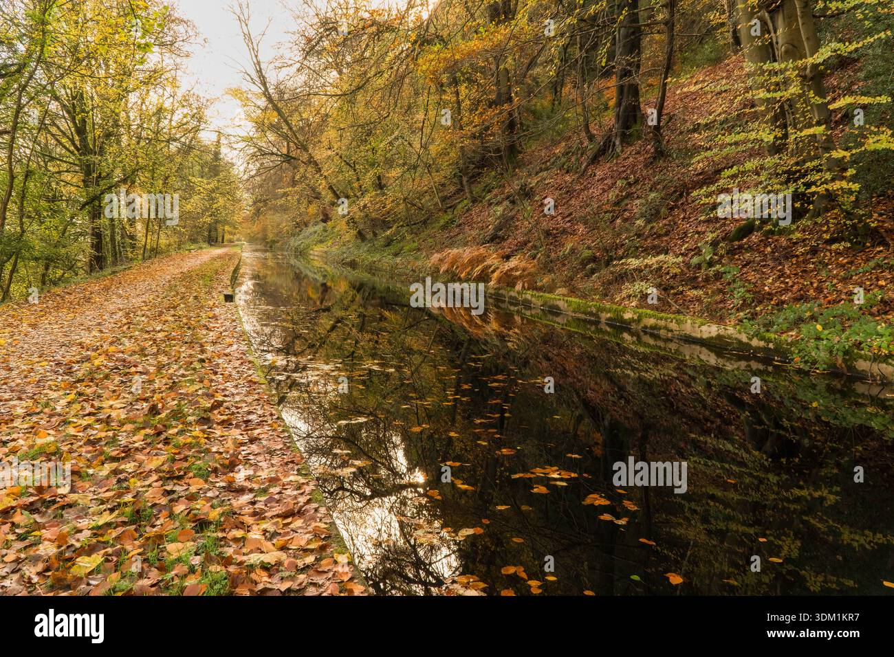 Une belle scène automnale le long du canal Monmouthshire et Brecon. Llanfoist Wales Royaume-Uni. Novembre 2025 Banque D'Images