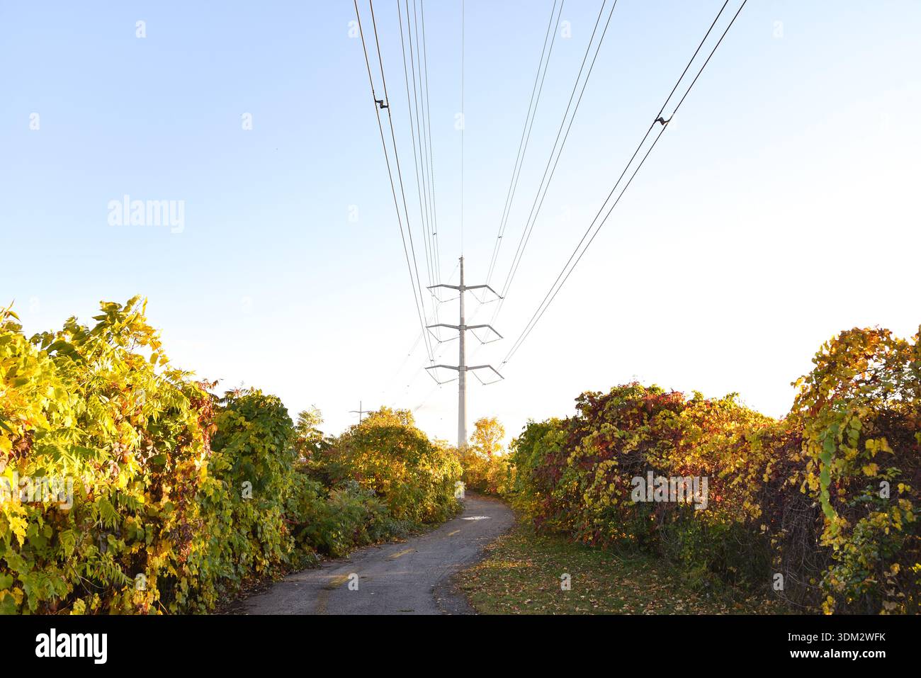 Piste cyclable avec feuillage d'automne le long du canal de l'aqueduc à Montréal, Québec, Canada Banque D'Images