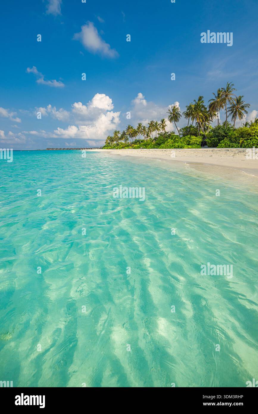 Pittoresque verticale Maldives plage ensoleillée océan rivage incroyable paysage de voyage magnifique fond de vacances mobile fond d'écran d'été paradis Banque D'Images