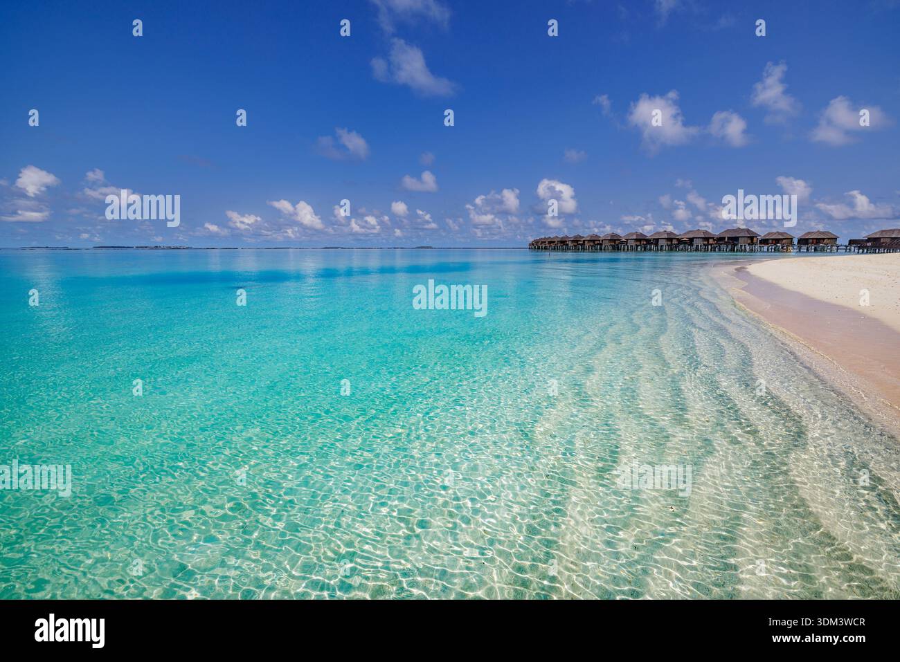 Vacances d'été immaculées Maldives voyage paysage turquoise océan île tropicale paradis fond Banque D'Images